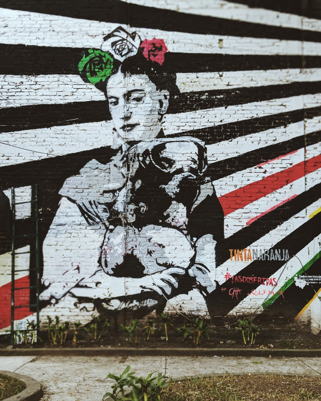 Mexico City – Beautiful&nbsp;Chaos